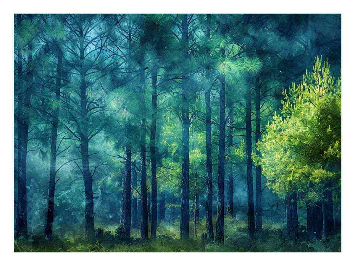 Moody emerald forest canvas art with misty trees for calm bedroom or office decor.