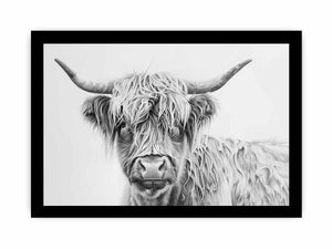 Black and white Highland cow drawing canvas art for farmhouse living room decor.