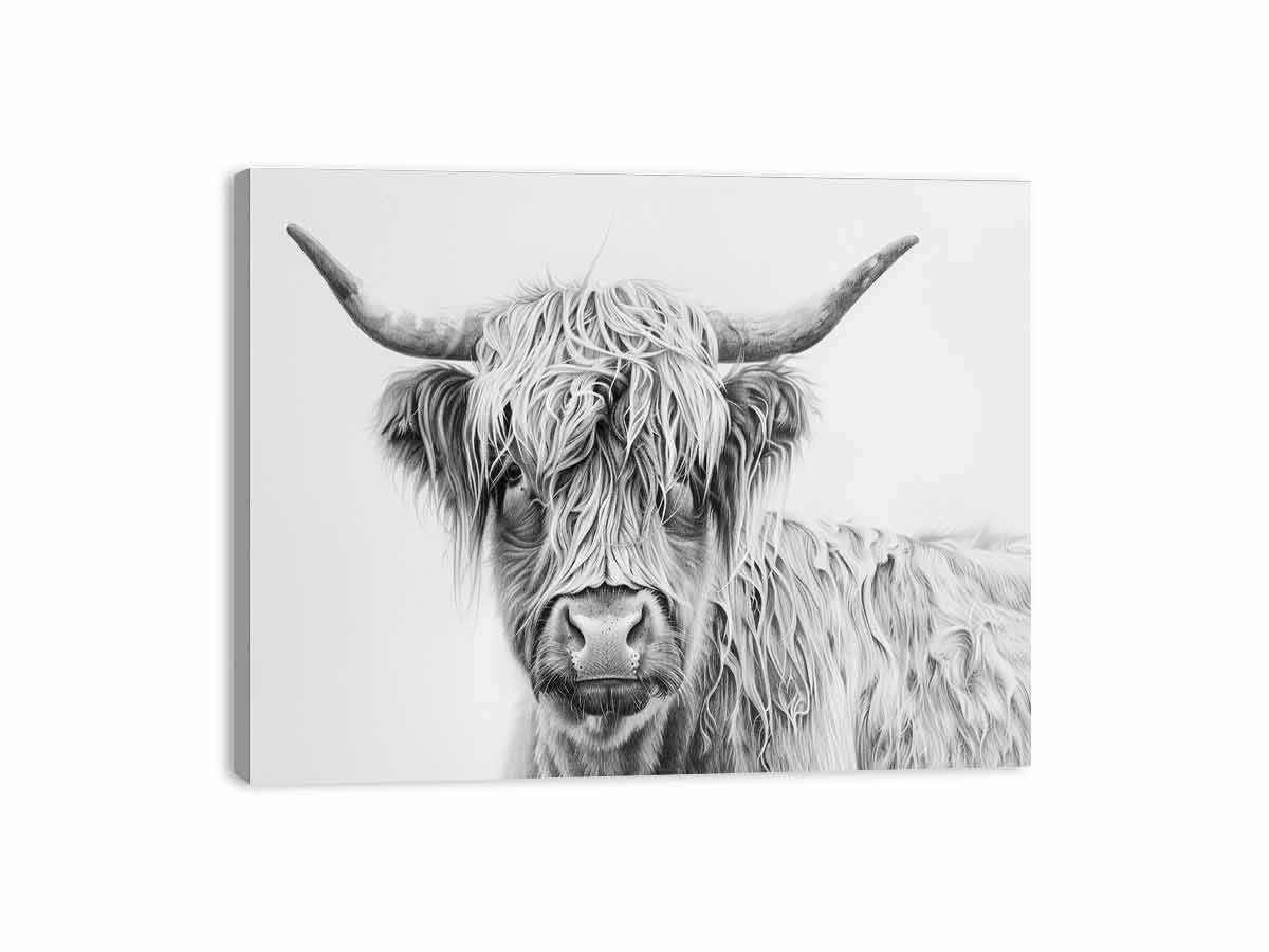 Black and white Highland cow drawing canvas art for farmhouse living room decor.