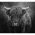 Highland Cow Black & white