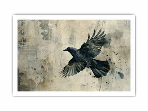 Black raven in flight against a weathered neutral wall for modern offices decor.