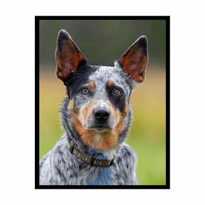 Realistic blue heeler dog canvas print for modern living room or office decor.