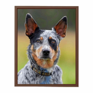 Realistic blue heeler dog canvas print for modern living room or office decor.