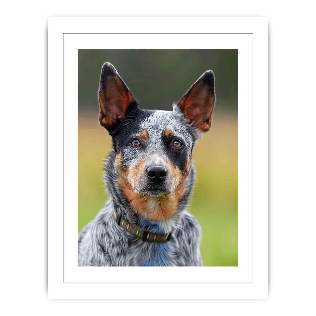 Realistic blue heeler dog canvas print for modern living room or office decor.