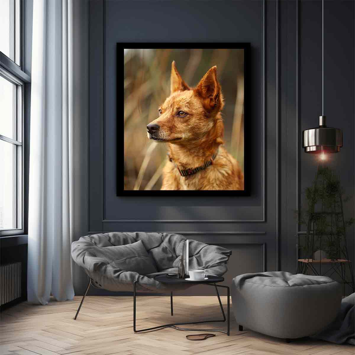 Warm red heeler dog portrait canvas art for rustic modern home decor.