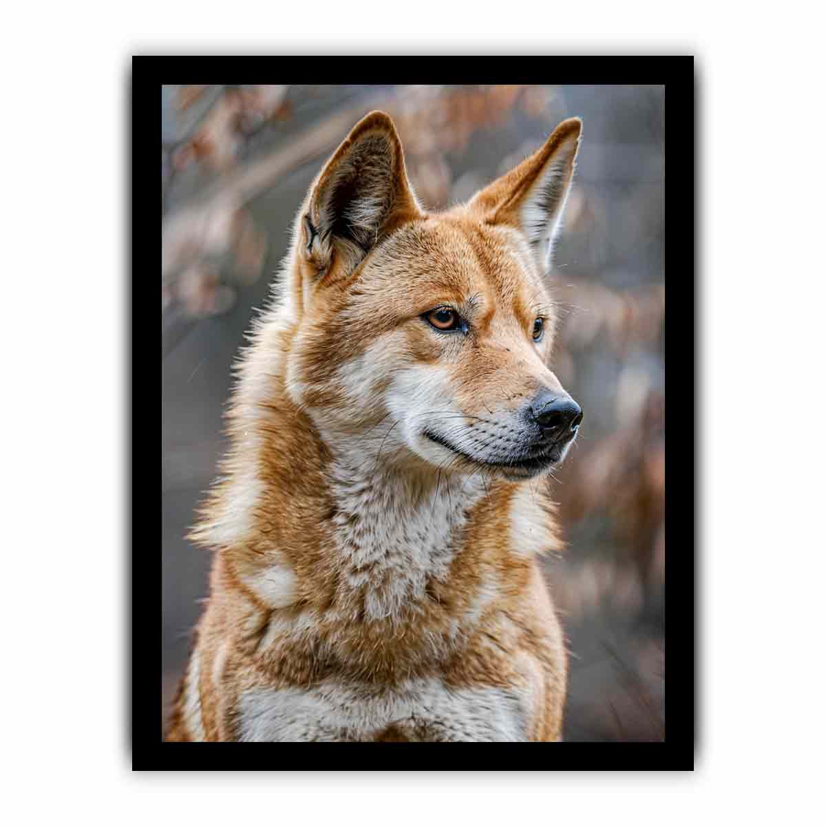 Dingo-inspired wild dog canvas art for earthy modern living room decor.