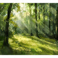 Sunlit green forest canvas art for calming modern living room or bedroom decor.