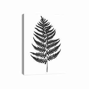 Fern Leaf Canvas Print