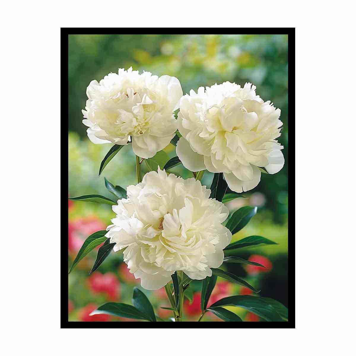 White peony floral canvas art for elegant bedroom and living room decor.