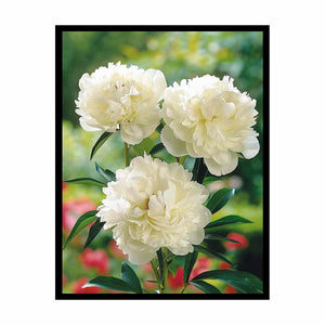 White peony floral canvas art for elegant bedroom and living room decor.