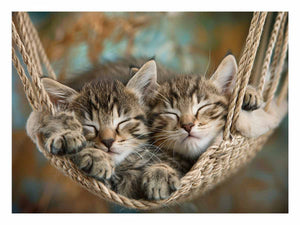 Sleeping kittens in hammock canvas print for cozy pet lover decor.