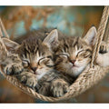 Cute Kittens