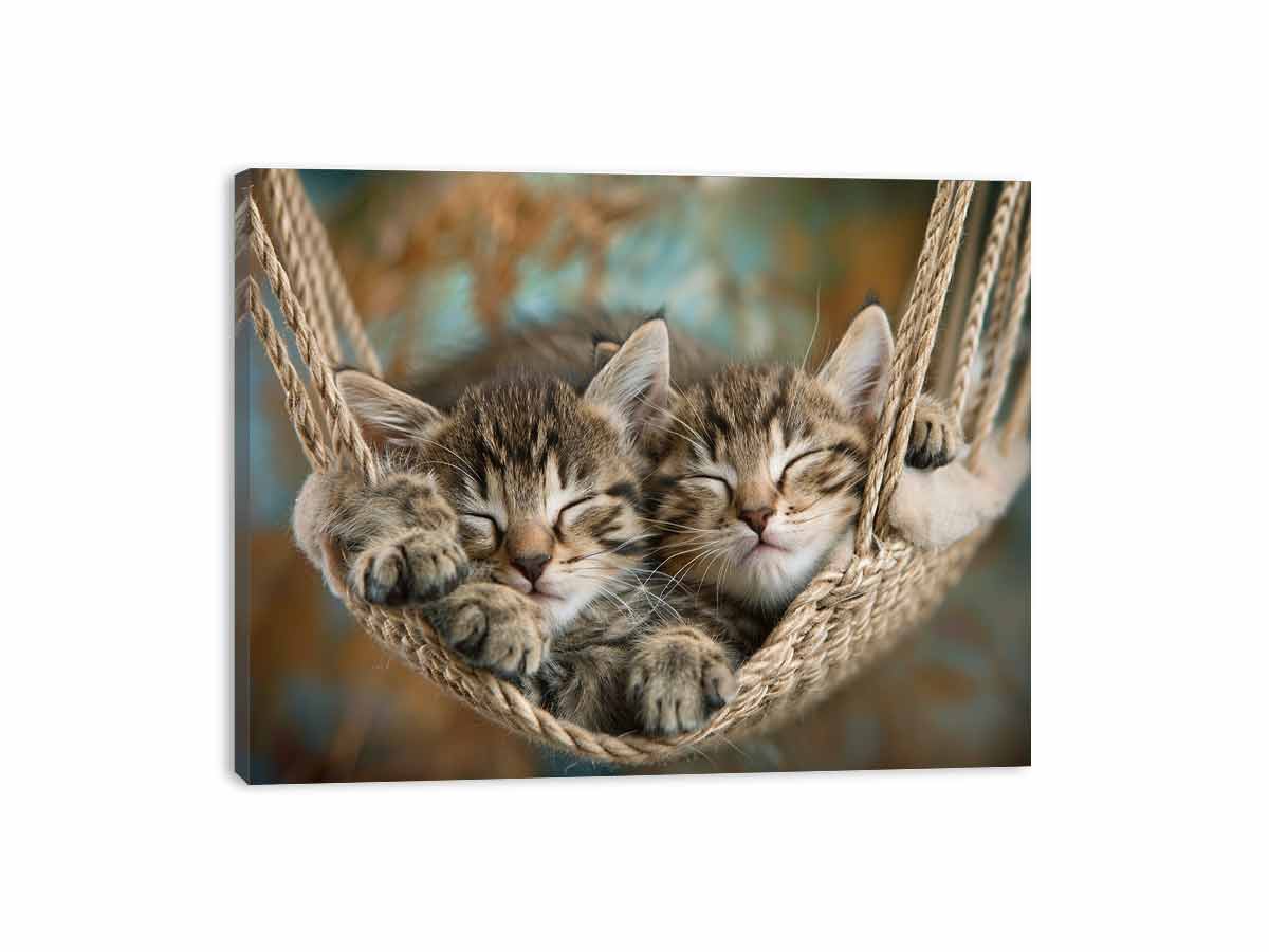 Sleeping kittens in hammock canvas print for cozy pet lover decor.