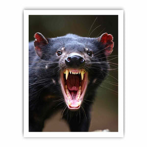 Dramatic Tasmanian devil portrait canvas art with open mouth for bold modern wall decor.