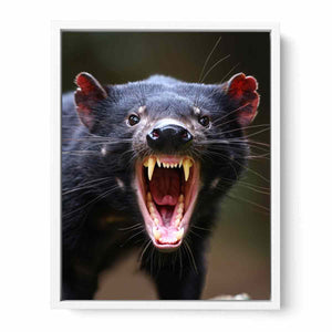 Dramatic Tasmanian devil portrait canvas art with open mouth for bold modern wall decor.