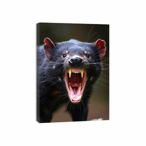 Dramatic Tasmanian devil portrait canvas art with open mouth for bold modern wall decor.