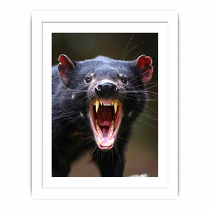 Dramatic Tasmanian devil portrait canvas art with open mouth for bold modern wall decor.