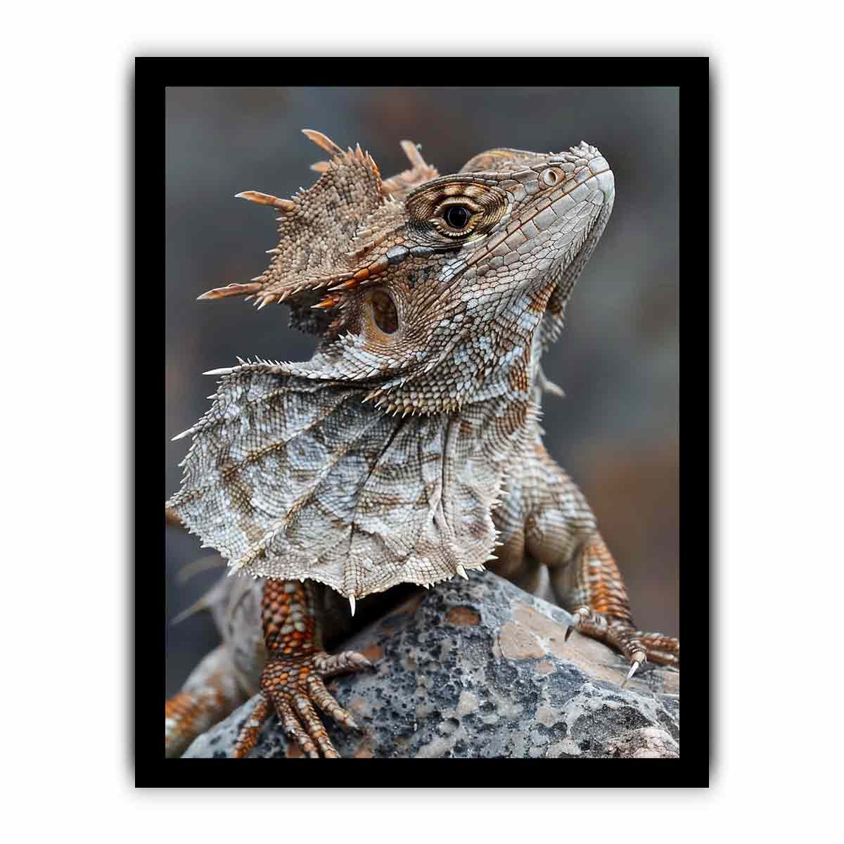 Frilled lizard wildlife canvas art for earthy modern living room decor.