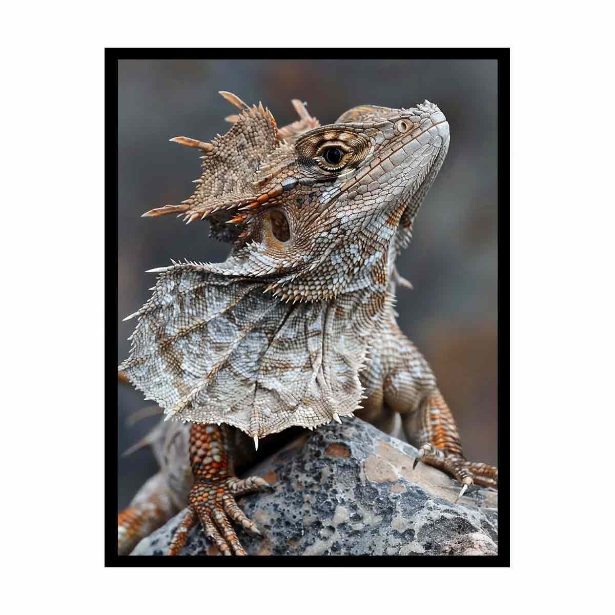 Frilled lizard wildlife canvas art for earthy modern living room decor.