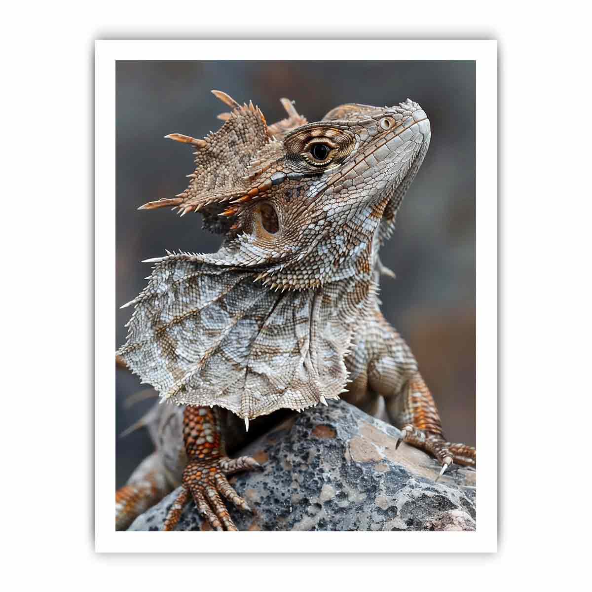 Frilled lizard wildlife canvas art for earthy modern living room decor.