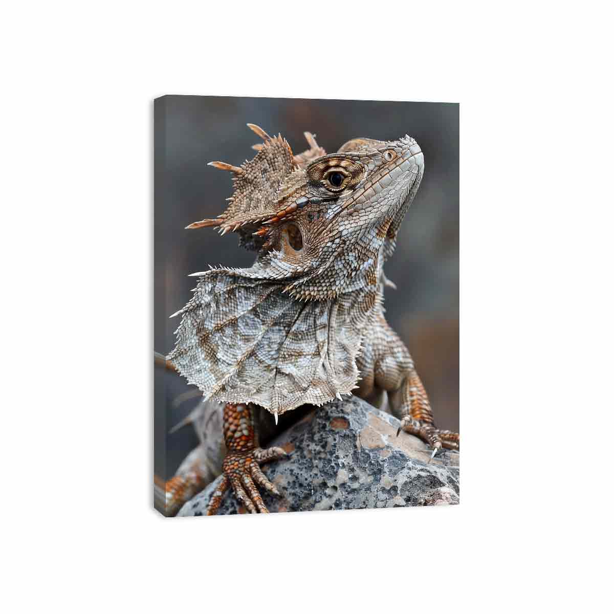 Frilled lizard wildlife canvas art for earthy modern living room decor.