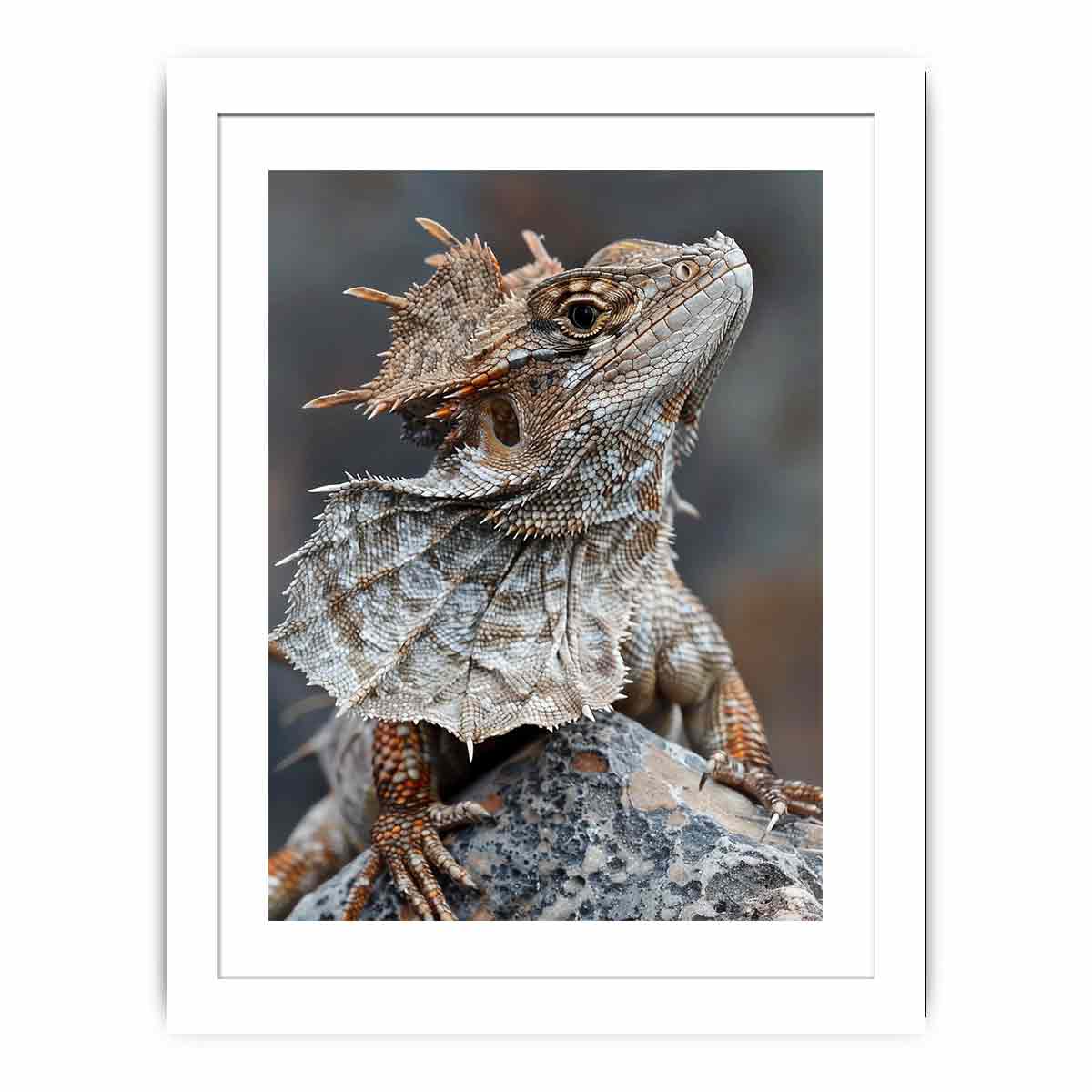 Frilled lizard wildlife canvas art for earthy modern living room decor.