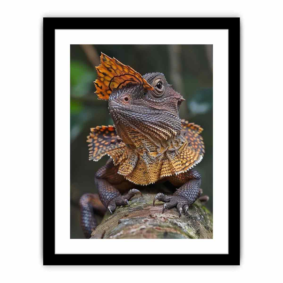 Amber frilled lizard wildlife canvas print for bold modern office decor.
