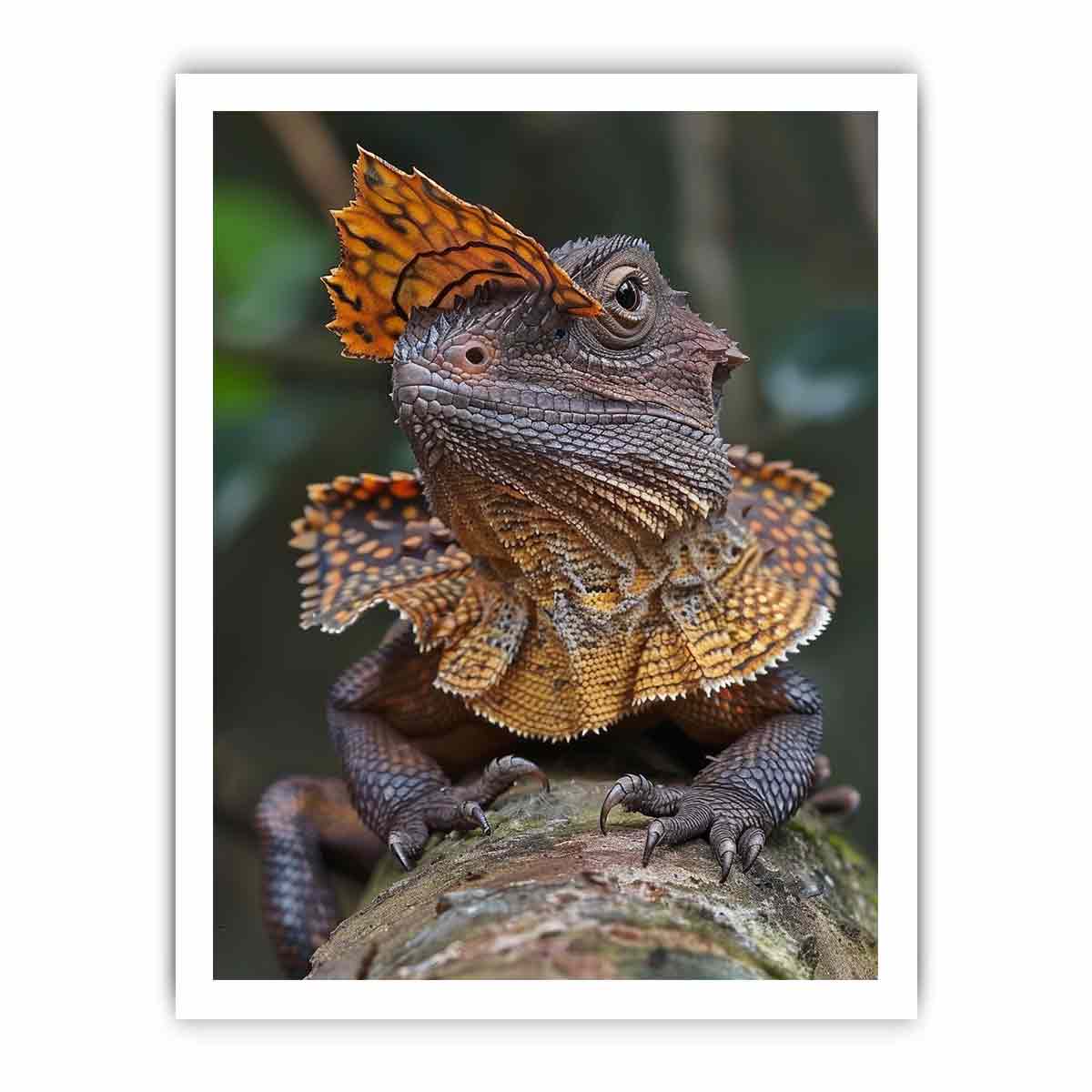 Amber frilled lizard wildlife canvas print for bold modern office decor.