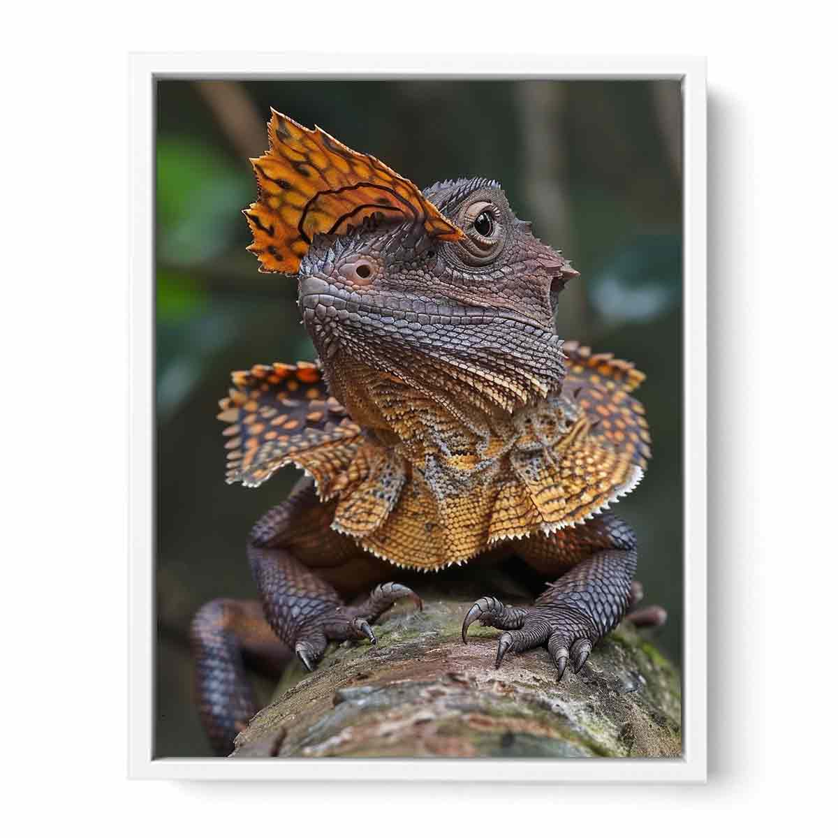 Amber frilled lizard wildlife canvas print for bold modern office decor.