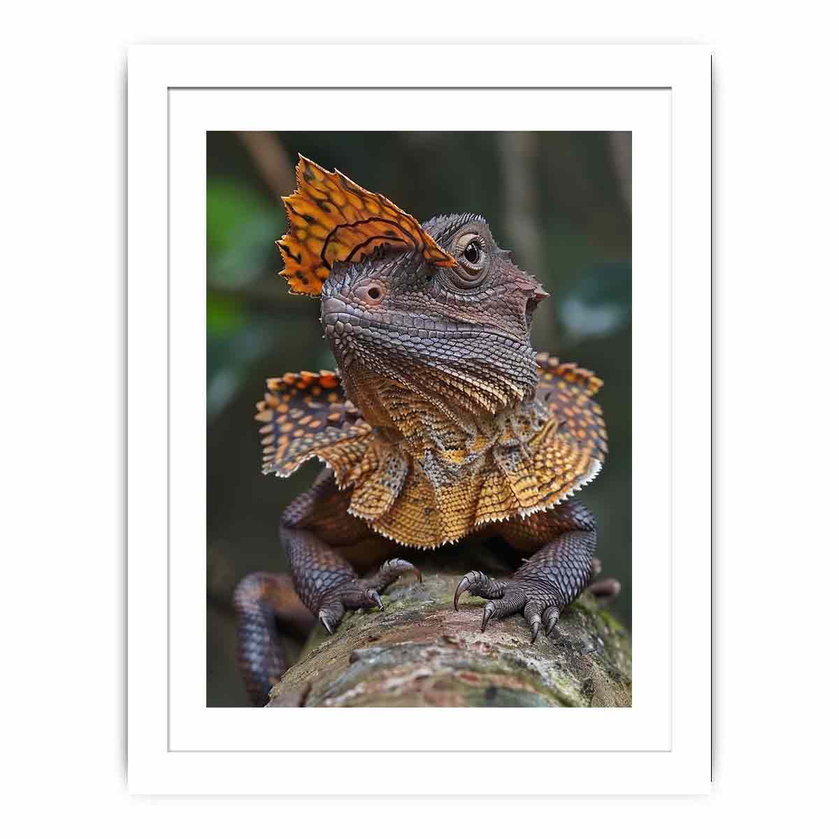 Amber frilled lizard wildlife canvas print for bold modern office decor.