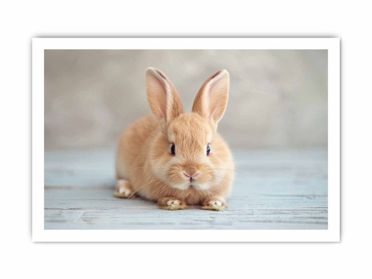 Soft bunny canvas print for cute nursery and kids room wall decor.