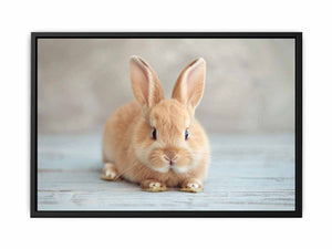 Soft bunny canvas print for cute nursery and kids room wall decor.