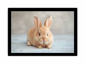 Soft bunny canvas print for cute nursery and kids room wall decor.