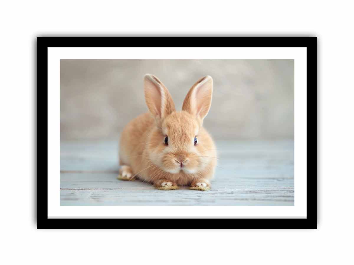 Soft bunny canvas print for cute nursery and kids room wall decor.