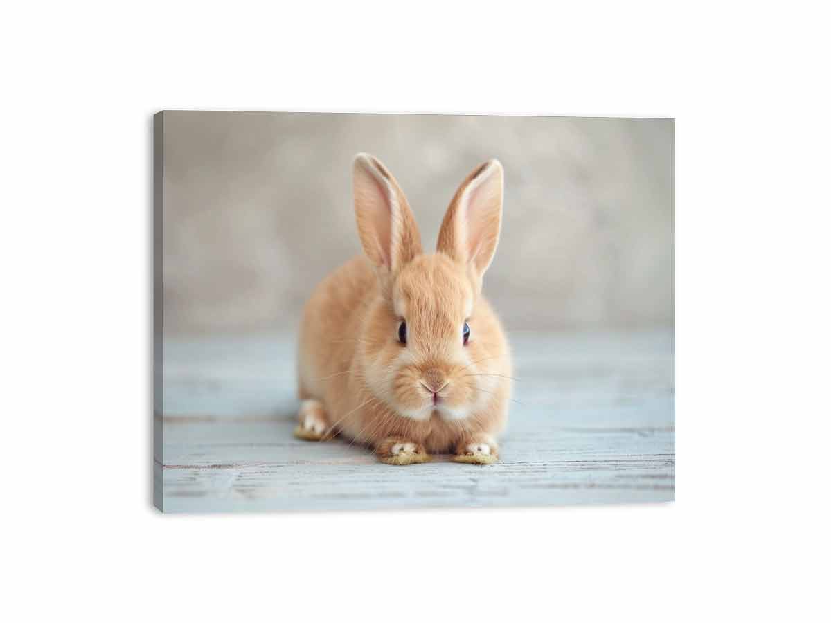 Soft bunny canvas print for cute nursery and kids room wall decor.