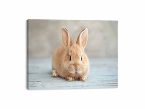 Soft bunny canvas print for cute nursery and kids room wall decor.