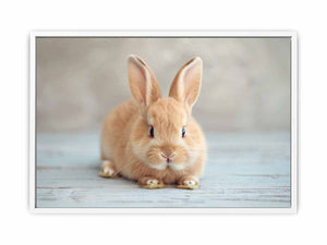 Soft bunny canvas print for cute nursery and kids room wall decor.