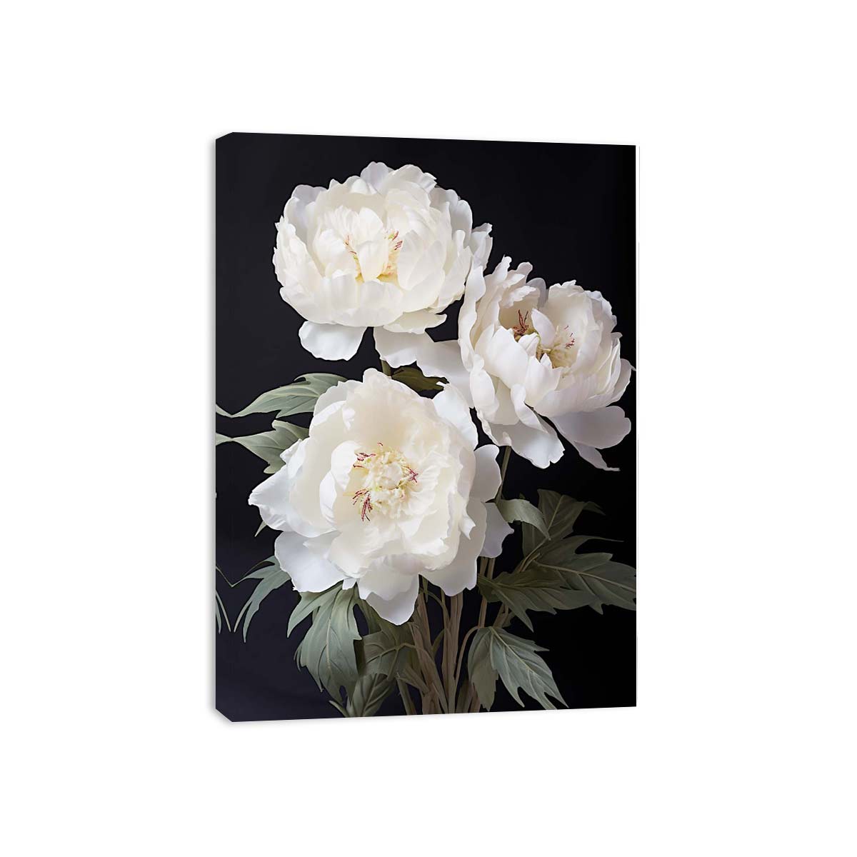 White peony floral canvas art on black background for elegant bedroom decor.