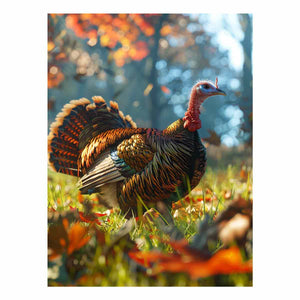Wild turkey photography for modern living room decor with premium canvas art style.