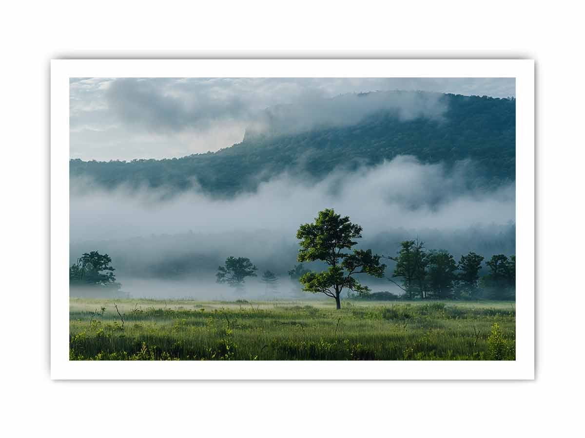 Misty mountain valley photography canvas with lone tree and fog for peaceful living room wall decor.