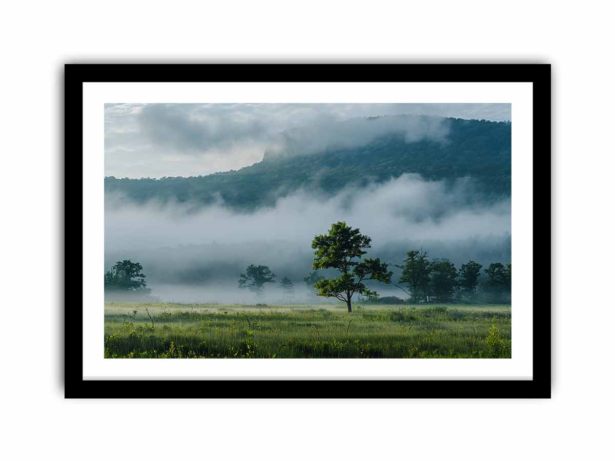 Misty mountain valley photography canvas with lone tree and fog for peaceful living room wall decor.