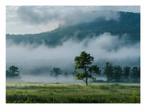Misty mountain valley photography canvas with lone tree and fog for peaceful living room wall decor.