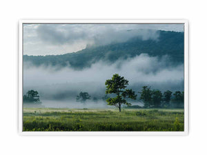 Misty mountain valley photography canvas with lone tree and fog for peaceful living room wall decor.