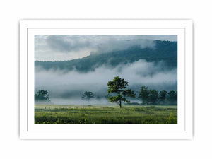 Morning Mist Streched canvas