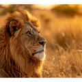 Lion Portrait 