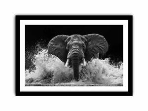 Black and white elephant canvas art with water splash for modern office wall decor.