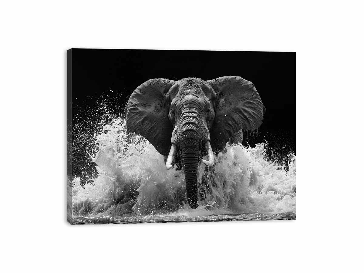 Black and white elephant canvas art with water splash for modern office wall decor.