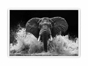 Black and white elephant canvas art with water splash for modern office wall decor.