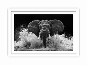 Black and white elephant canvas art with water splash for modern office wall decor.