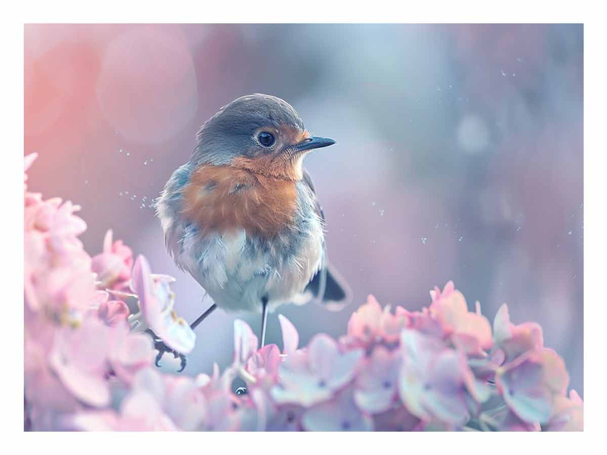 Pastel robin canvas art with pink flowers for soft cottagecore bedroom decor.